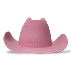 Avalon Guava Cowboy Hat